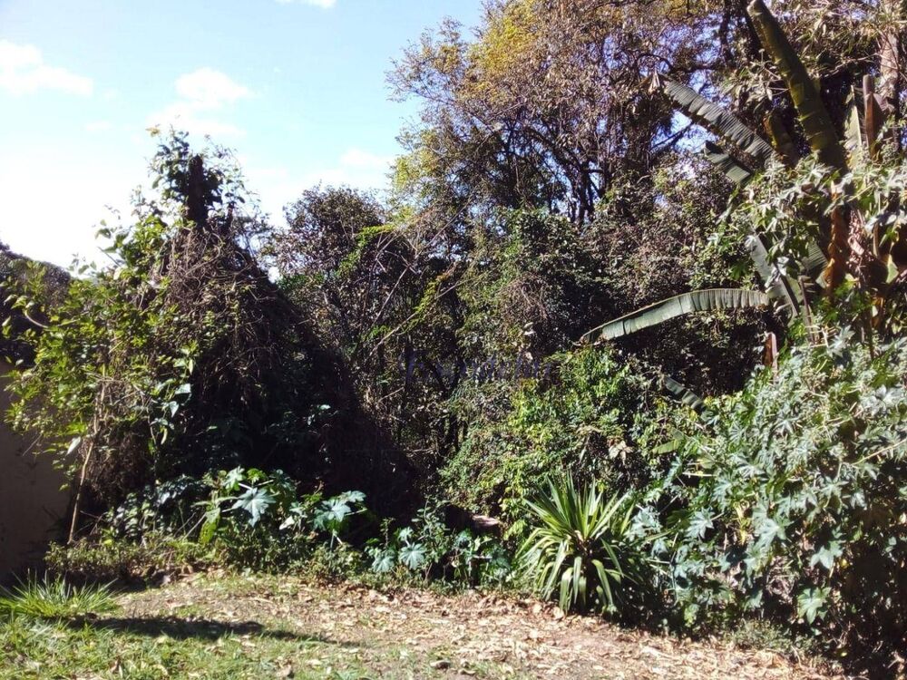 Loteamento e Condomínio, 1302 m² - Foto 3