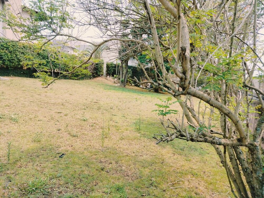 Terreno, 700 m² - Foto 4