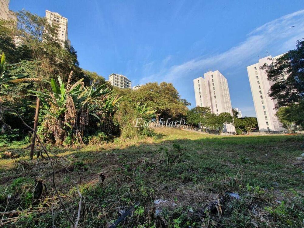 Terreno, 4372 m² - Foto 7