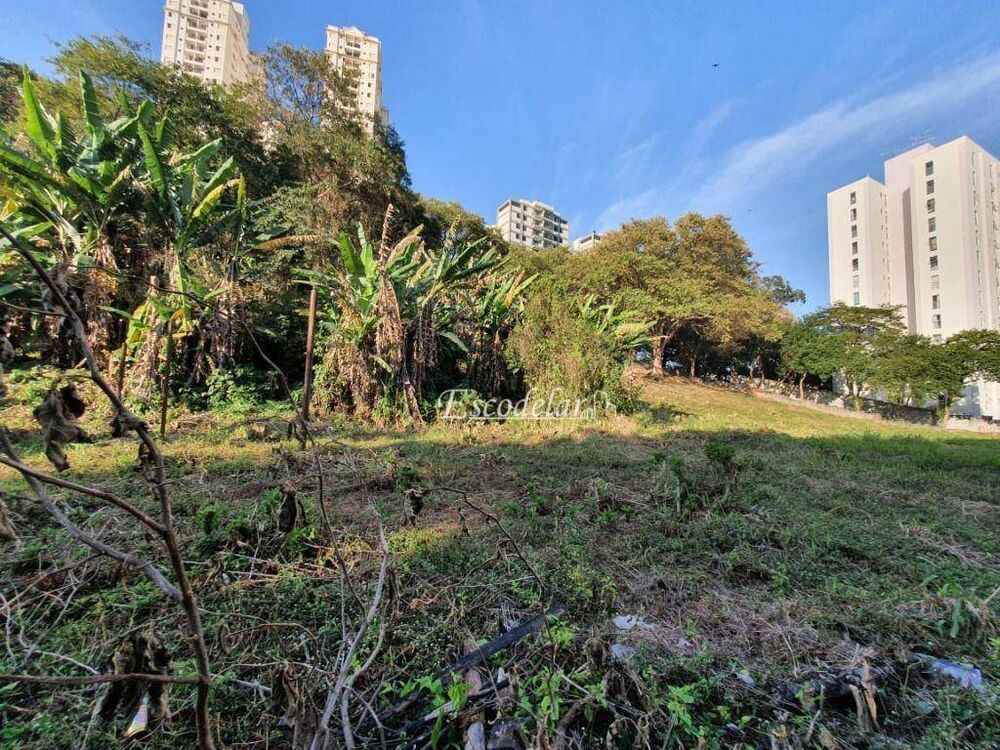 Terreno, 4372 m² - Foto 6