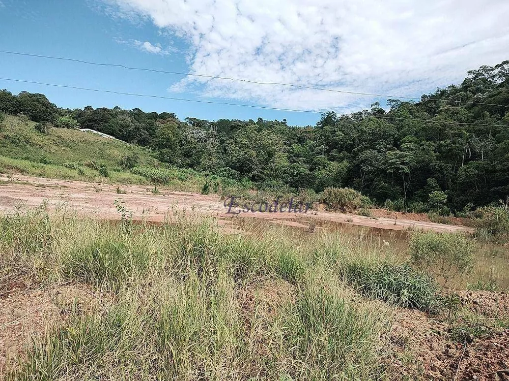 Terreno, 7 hectares - Foto 15