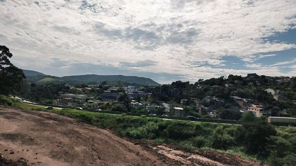 Terreno, 7 hectares - Foto 3