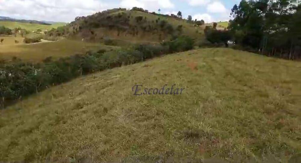 Fazenda, 42 hectares - Foto 7