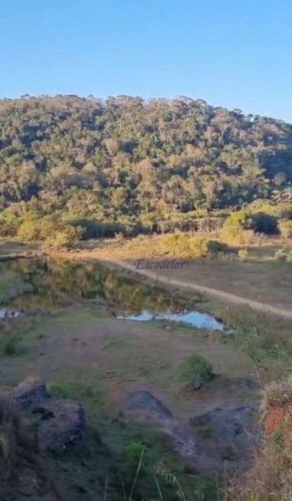 Fazenda, 42 hectares - Foto 8