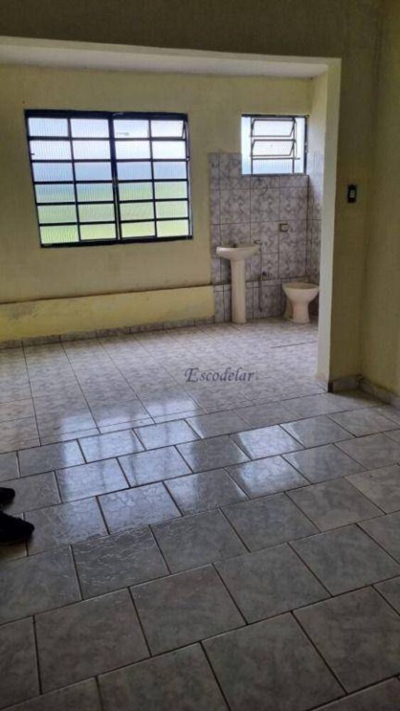 Fazenda, 42 hectares - Foto 12