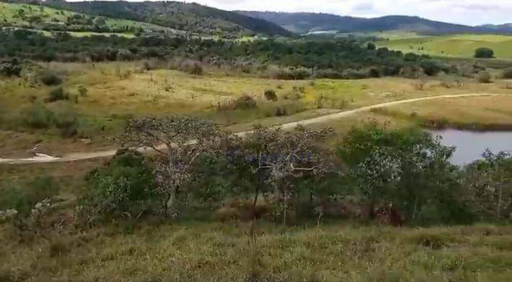 Fazenda, 42 hectares - Foto 3