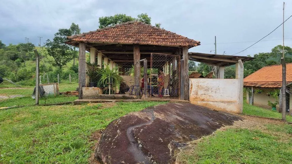 Fazenda, 42 hectares - Foto 16