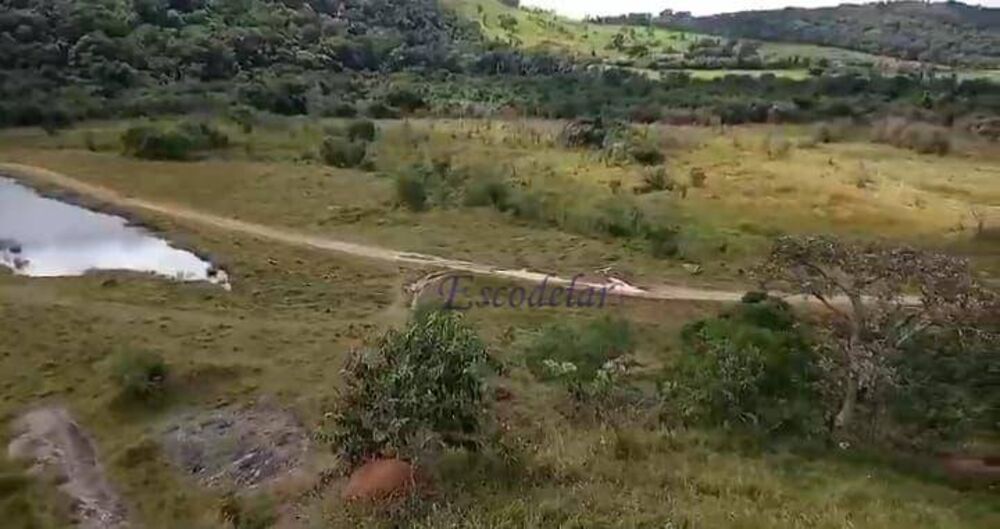 Fazenda, 42 hectares - Foto 2