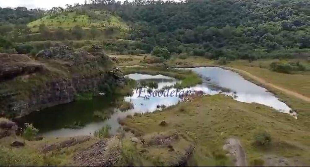 Fazenda, 42 hectares - Foto 4