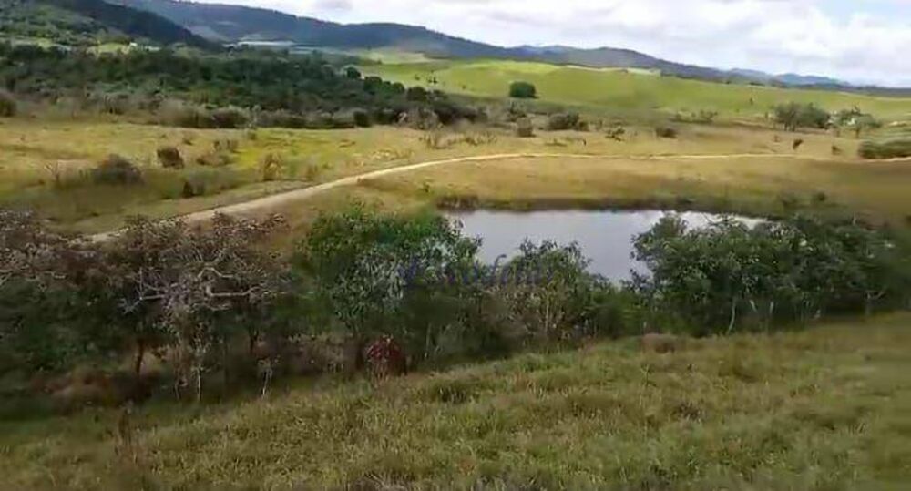Fazenda, 42 hectares - Foto 1