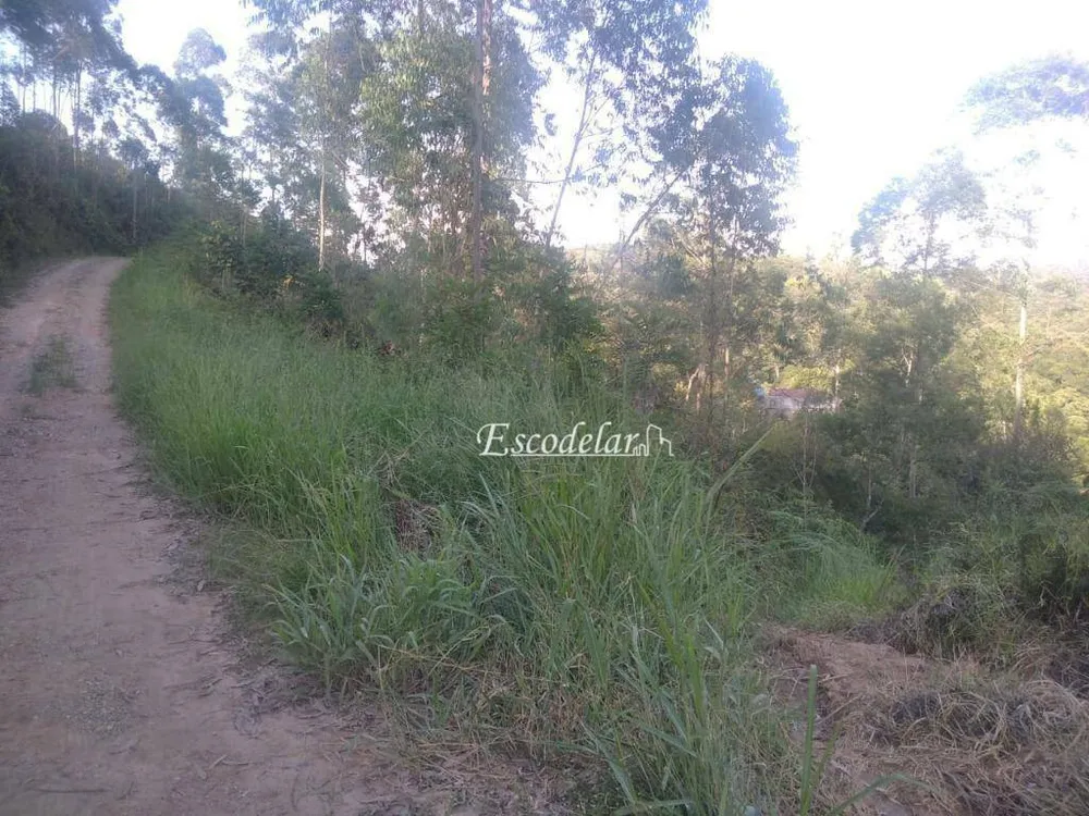 Terreno, 2000 m² - Foto 8