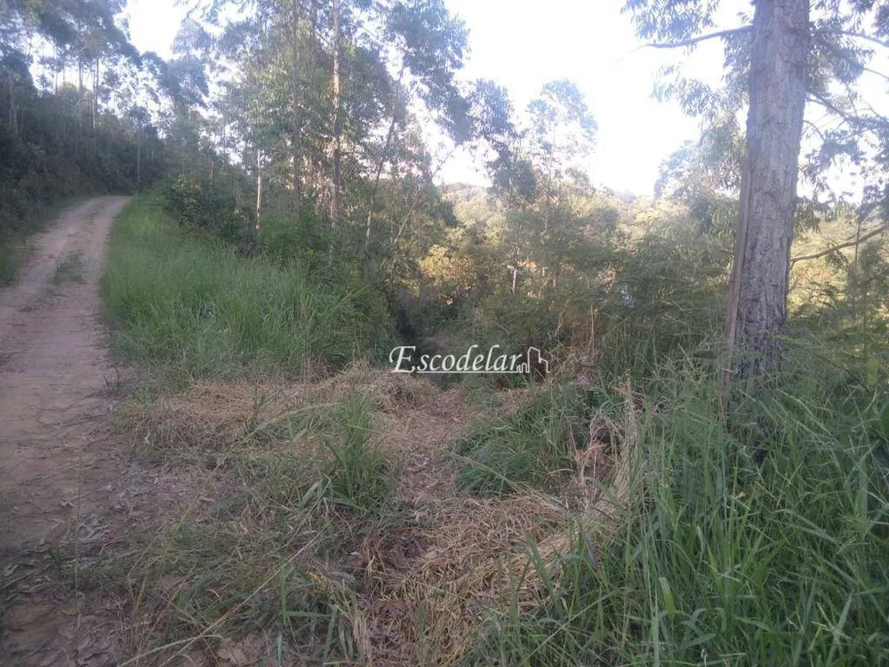 Terreno, 2000 m² - Foto 7