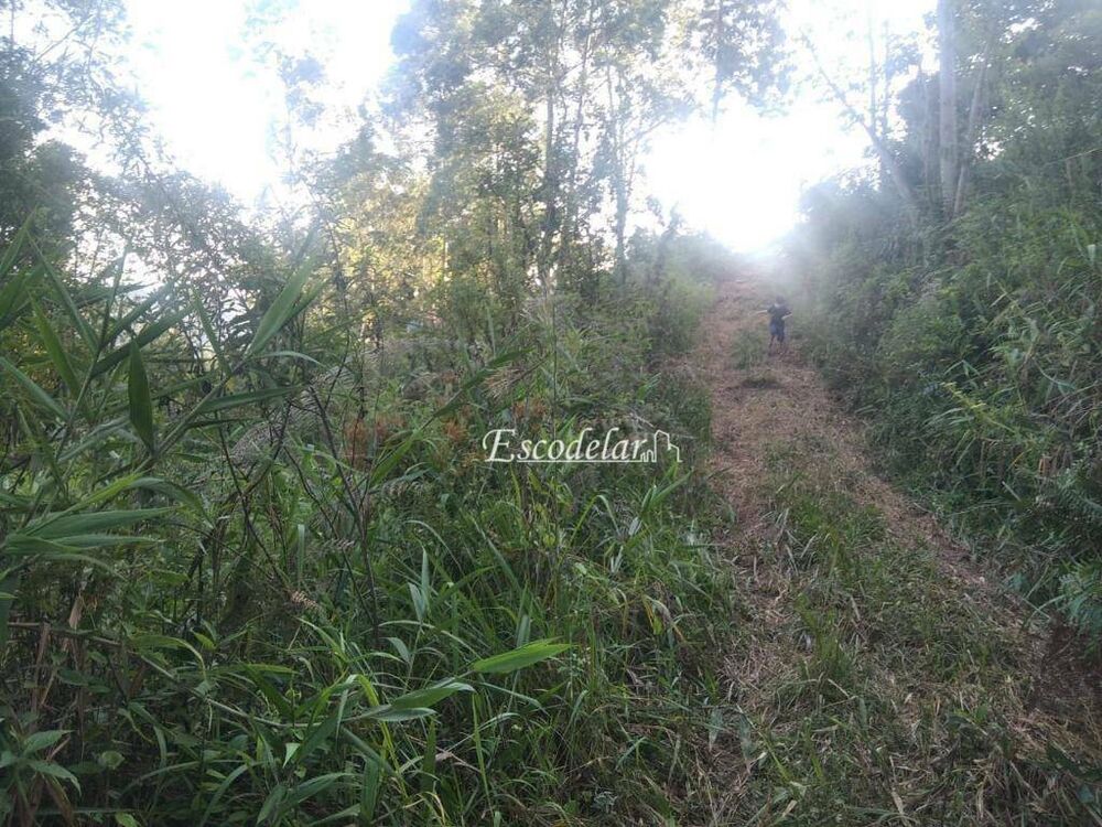 Terreno, 2000 m² - Foto 4