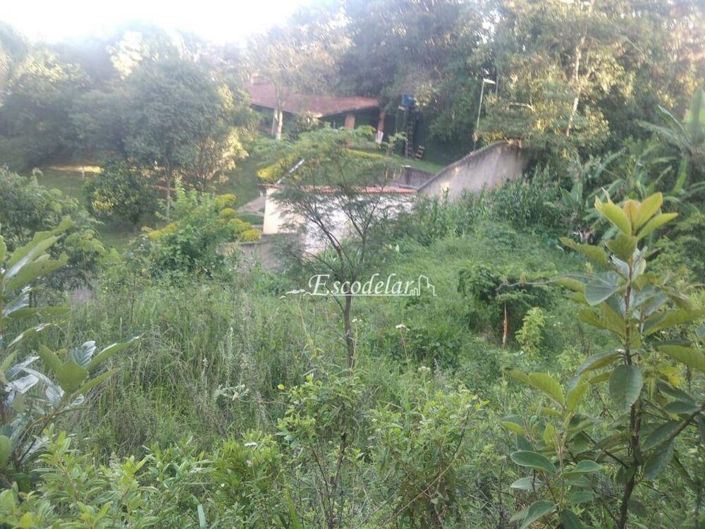 Terreno, 2000 m² - Foto 3