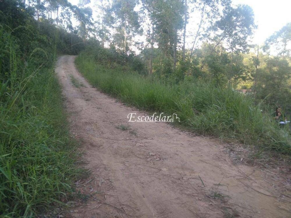 Terreno, 2000 m² - Foto 1