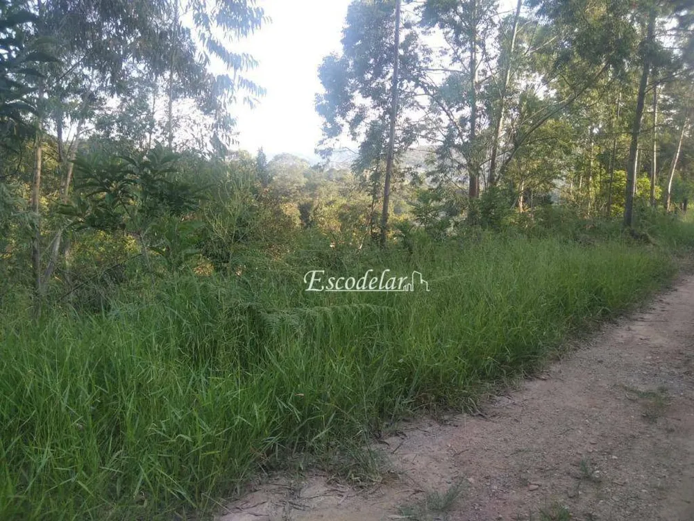 Terreno, 2000 m² - Foto 6