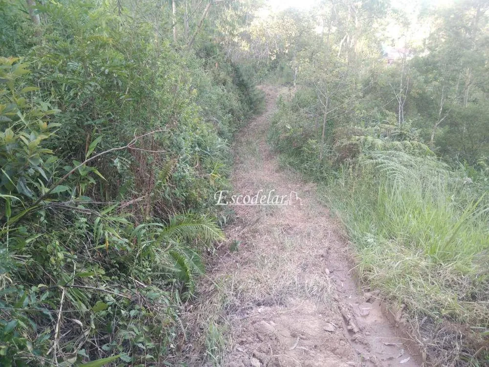 Terreno, 2000 m² - Foto 5
