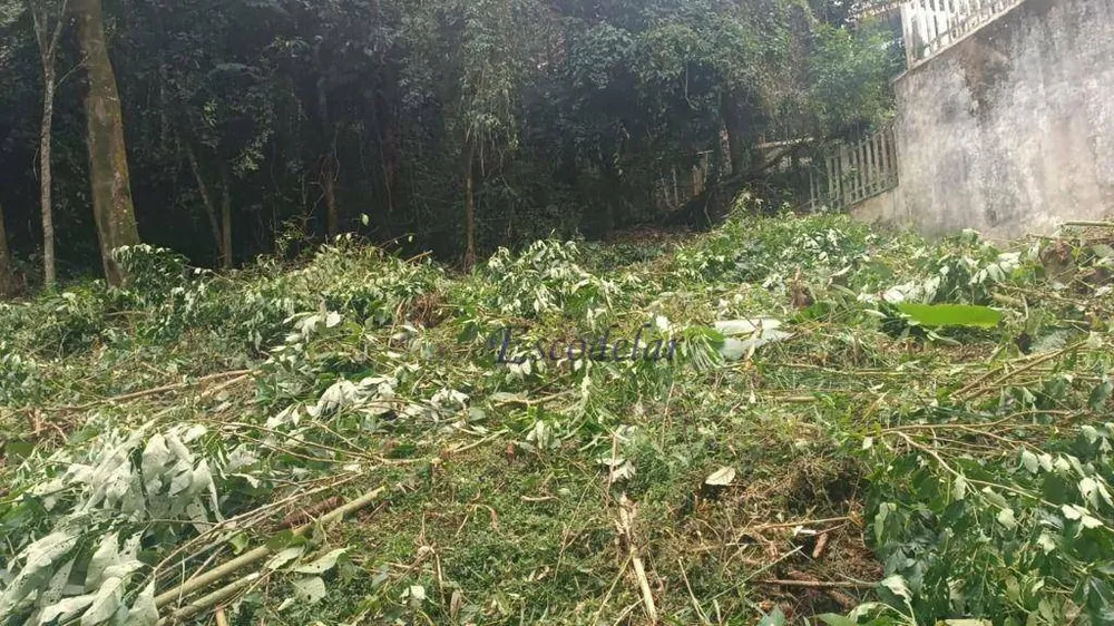 Loteamento e Condomínio, 780 m² - Foto 6