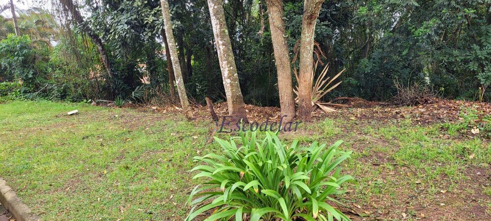 Terreno, 1228 m² - Foto 4