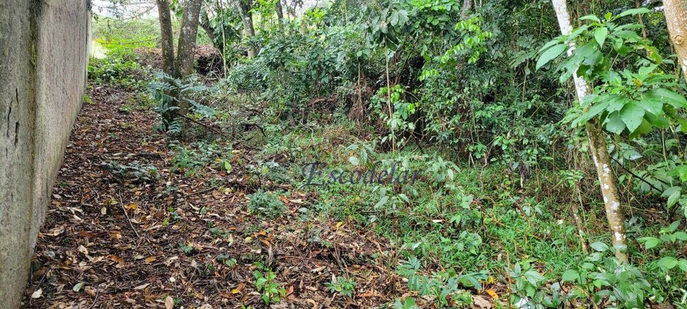 Terreno, 1228 m² - Foto 2