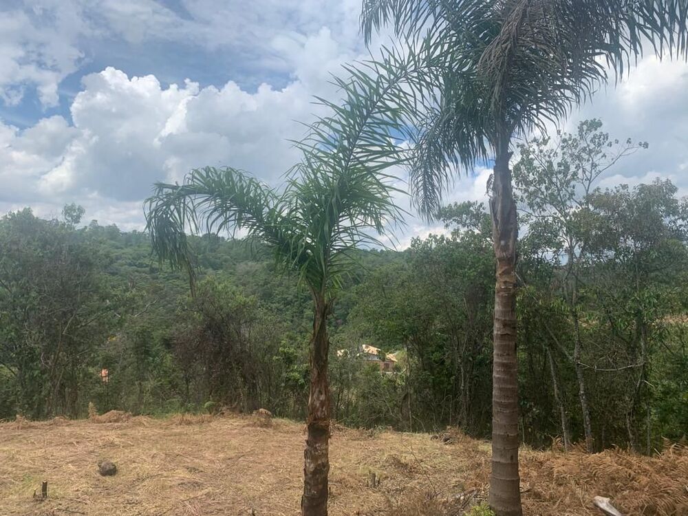 Terreno, 4376 m² - Foto 8