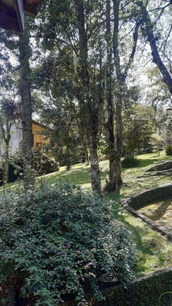 Casa, 3 quartos, 587 m² - Foto 4