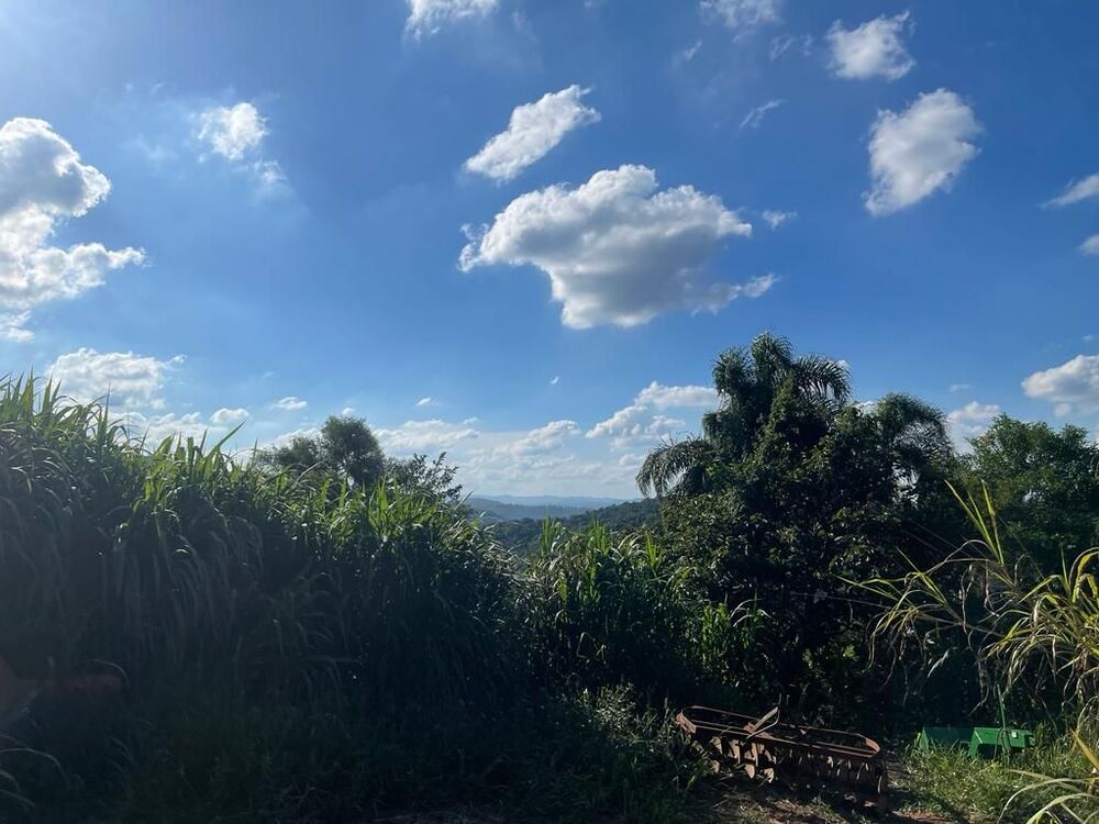 Terreno, 2 hectares - Foto 6