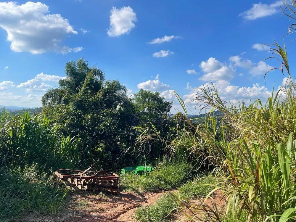 Terreno, 2 hectares - Foto 4