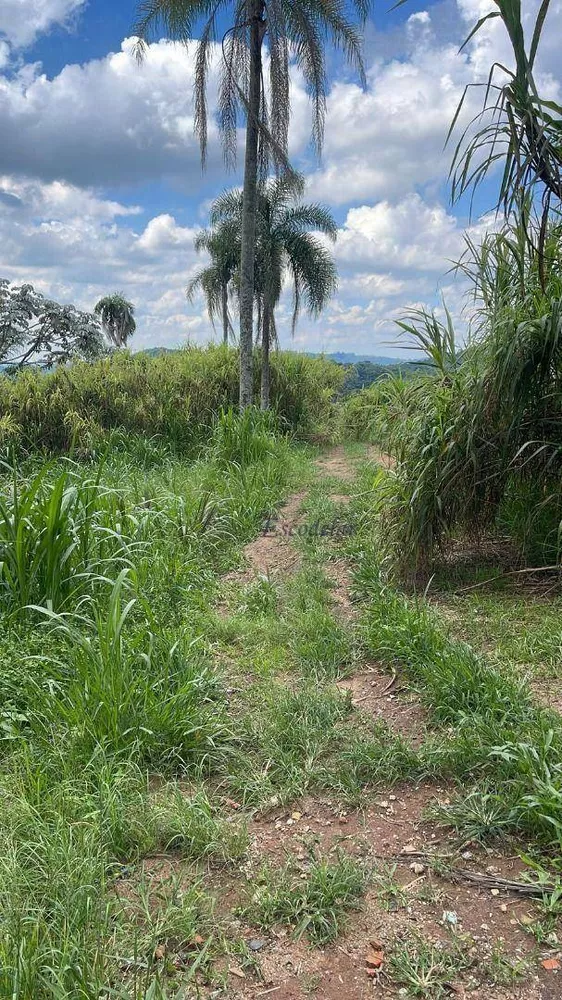 Terreno, 2 hectares - Foto 3