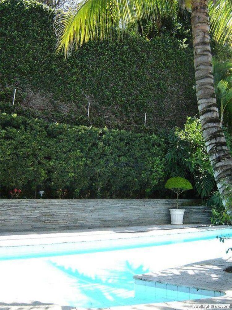 Casa, 4 quartos, 900 m² - Foto 4