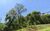Terreno, 6750 m² - Foto 1