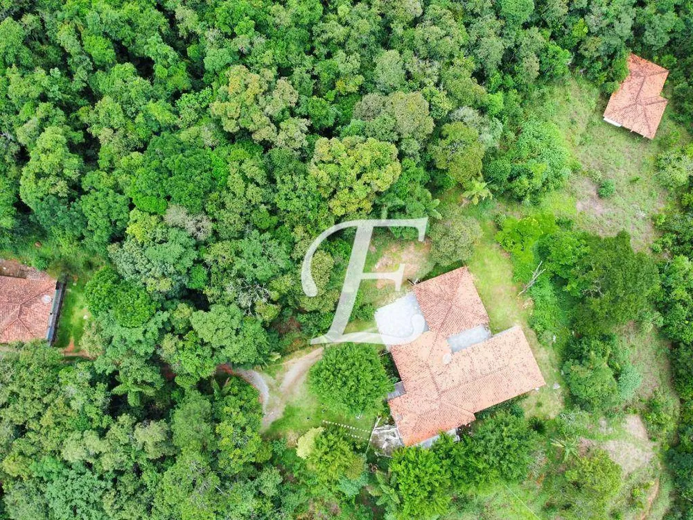 Terreno, 5 hectares - Foto 6