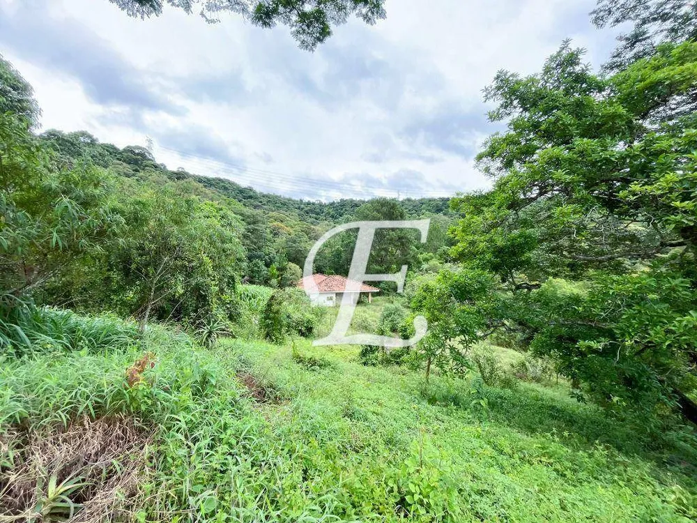Terreno, 5 hectares - Foto 7