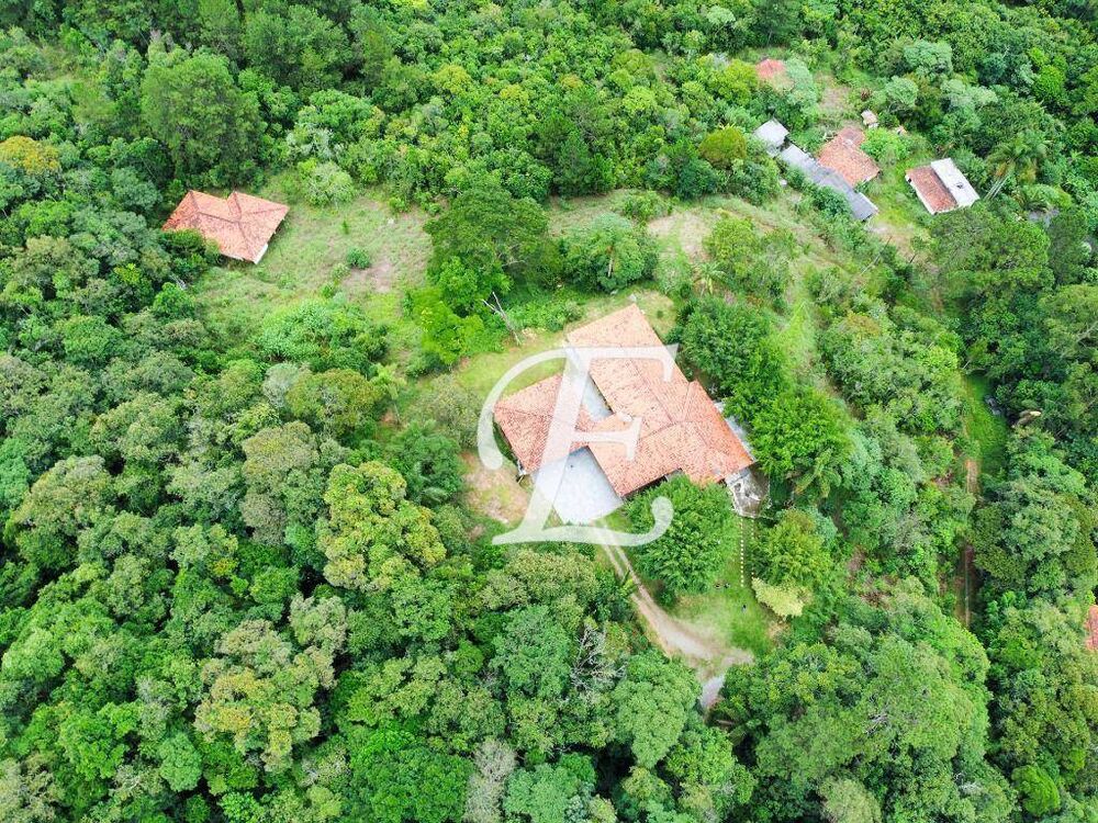 Terreno, 5 hectares - Foto 4
