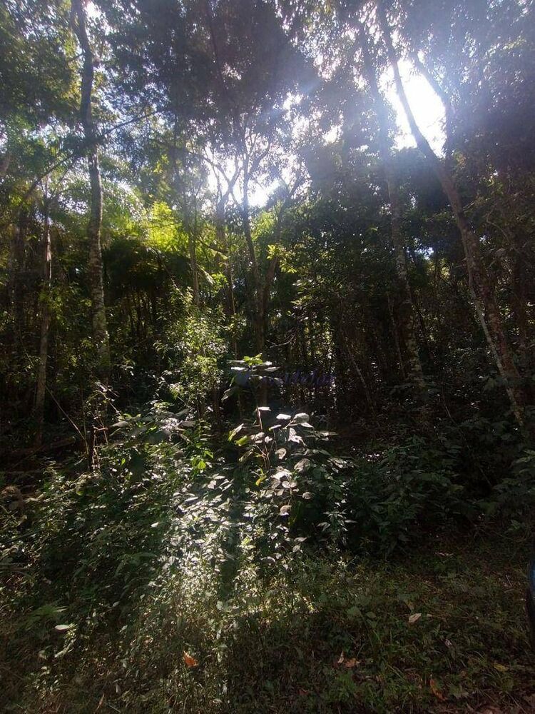 Loteamento e Condomínio, 1260 m² - Foto 3