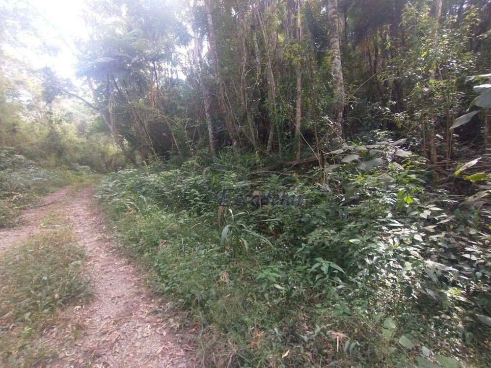 Loteamento e Condomínio, 1260 m² - Foto 4
