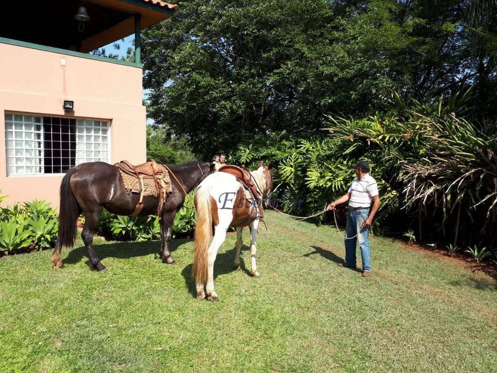 Sítio, 4 quartos, 16 hectares - Foto 10