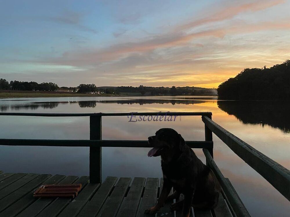 Sítio, 4 quartos, 16 hectares - Foto 7