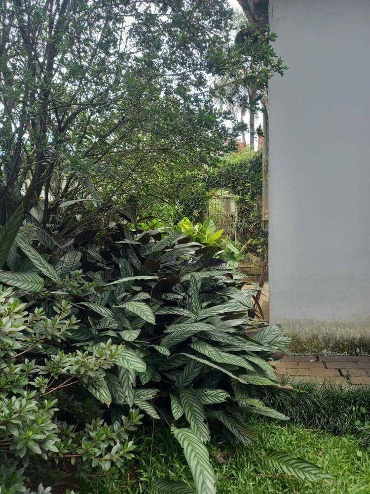 Casa, 4 quartos, 240 m² - Foto 12