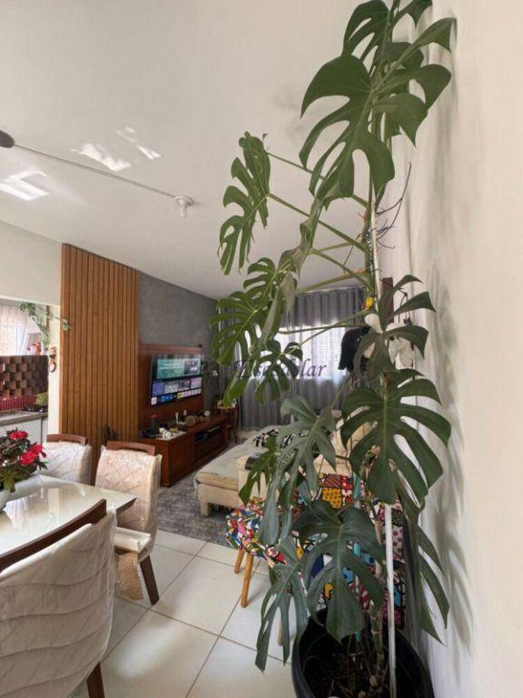 Casa à venda com 3 quartos, 75m² - Foto 7