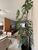 Casa, 3 quartos, 75 m² - Foto 7