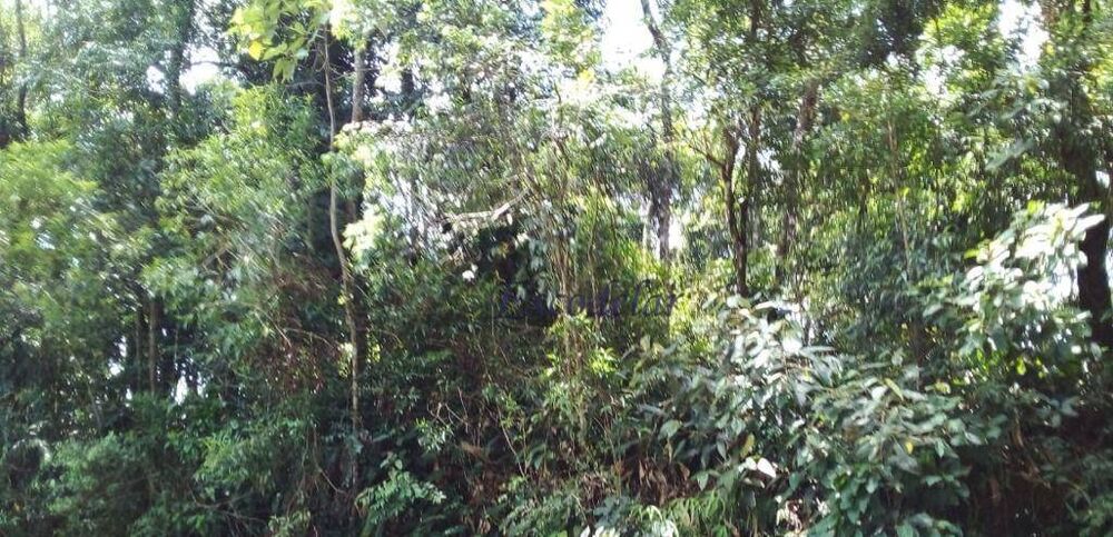 Terreno, 940 m² - Foto 1