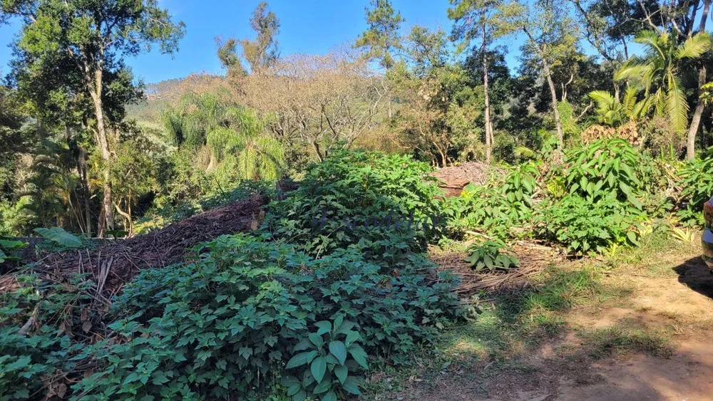 Terreno, 1000 m² - Foto 6