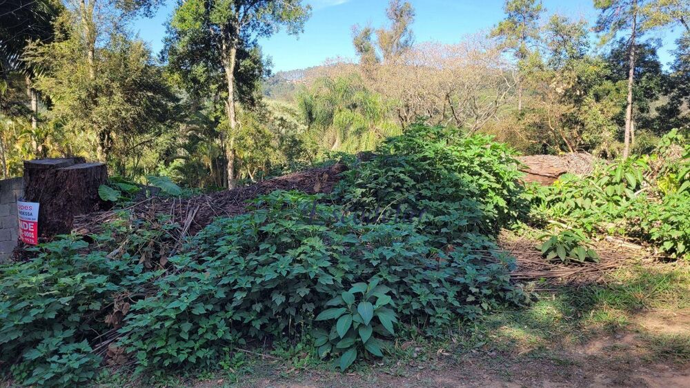 Terreno, 1000 m² - Foto 3