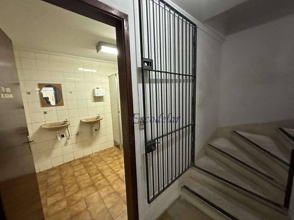 Casa, 4 quartos, 460 m² - Foto 14
