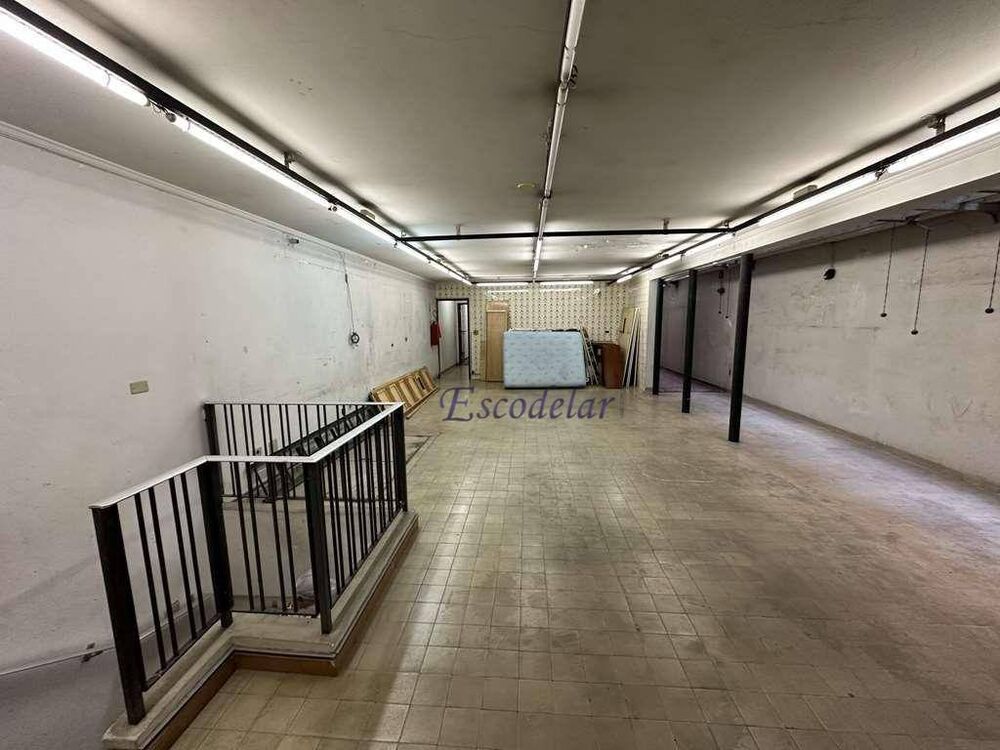 Casa, 4 quartos, 460 m² - Foto 13