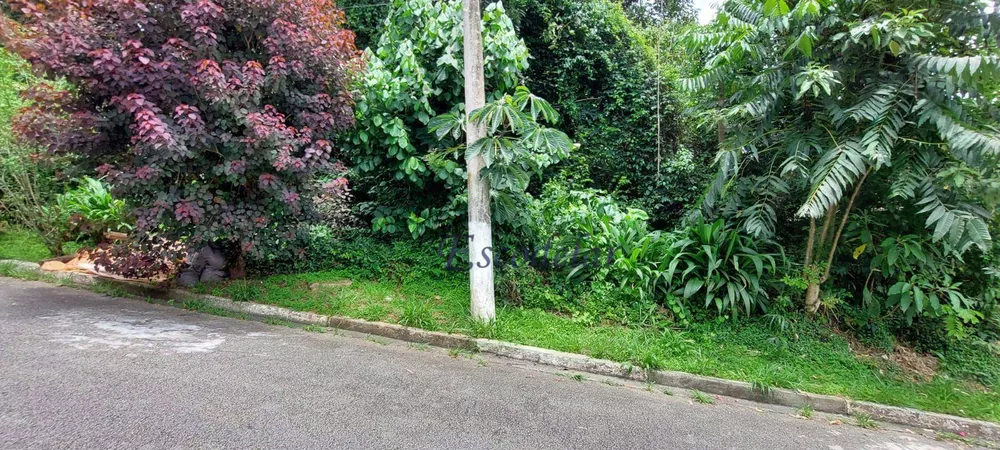 Terreno, 1000 m² - Foto 3