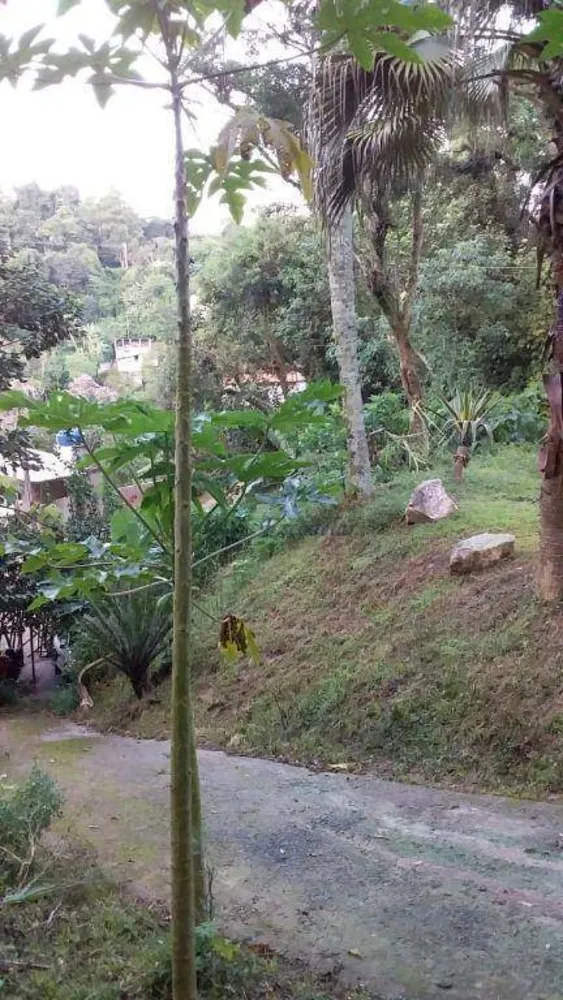 Terreno, 2438 m² - Foto 3