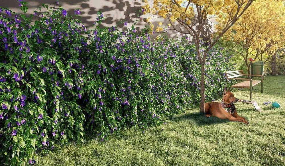 Apartamento, 3 quartos, 87 m² - Foto 18