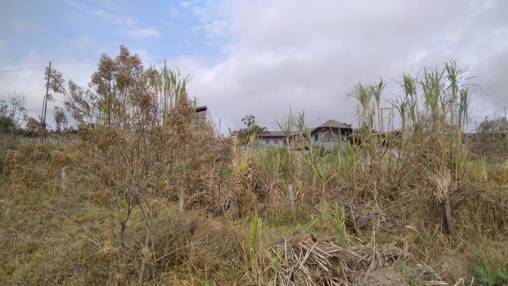 Loteamento e Condomínio, 1100 m² - Foto 6